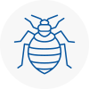 Bed Bug Extermination In Yeovil
